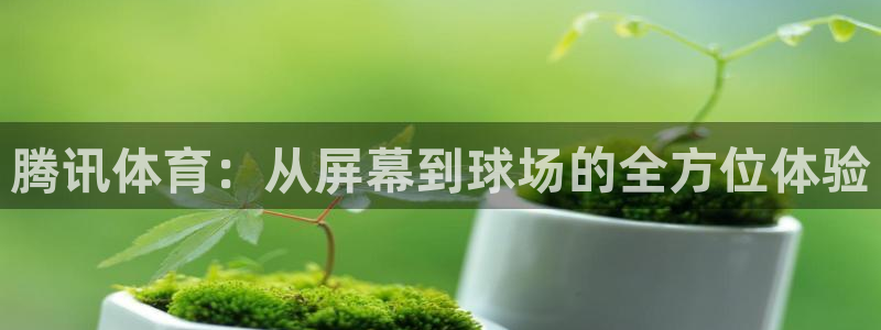 腾讯体育：从屏幕到球场的全方位体验