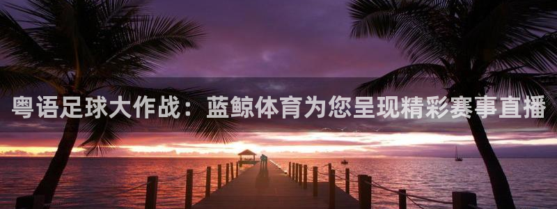 粤语足球大作战：蓝鲸体育为您呈现精彩赛事直播