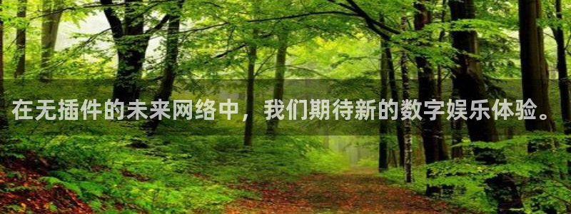 在无插件的未来网络中，我们期待新的数字娱乐体验。