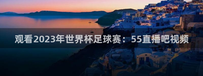 观看2023年世界杯足球赛：55直播吧视频