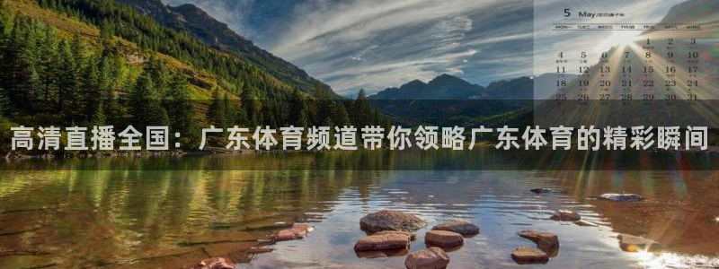 高清直播全国：广东体育频道带你领略广东体育的精彩瞬间