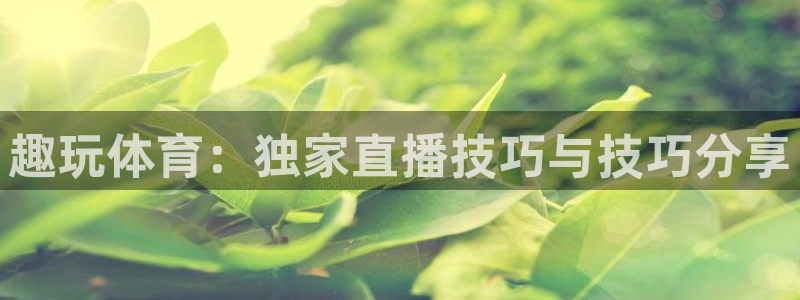 趣玩体育：独家直播技巧与技巧分享