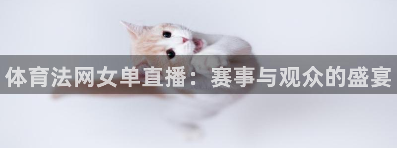 体育法网女单直播：赛事与观众的盛宴