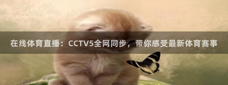 在线体育直播：CCTV5全网同步，带你感受最新体育赛事