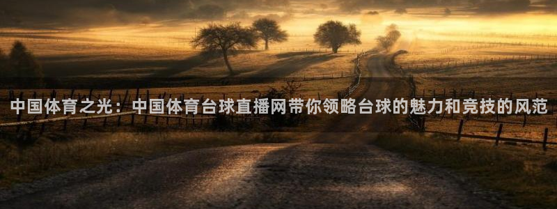 中国体育之光：中国体育台球直播网带你领略台球的魅力和竞技的风范