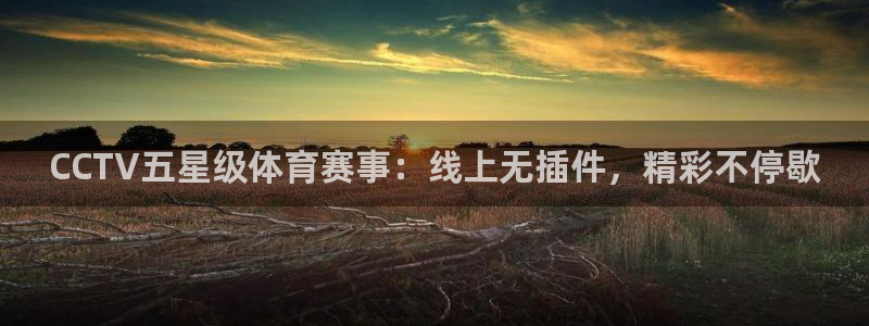 CCTV五星级体育赛事：线上无插件，精彩不停歇