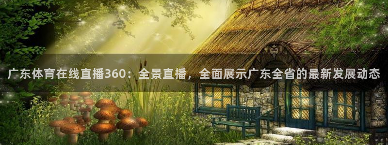广东体育在线直播360：全景直播，全面展示广东全省的最新发展动态