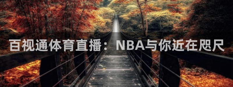 百视通体育直播：NBA与你近在咫尺