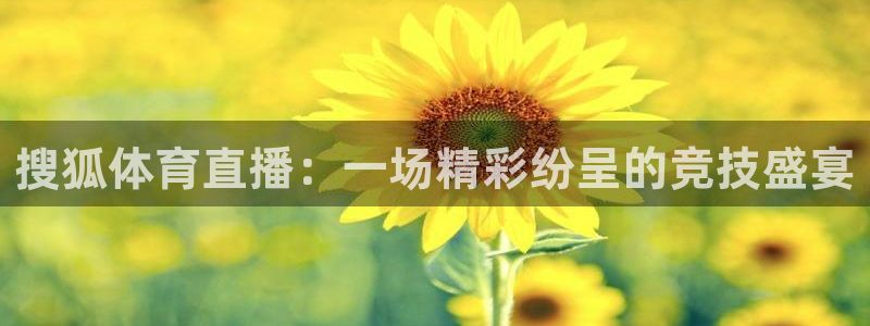 搜狐体育直播：一场精彩纷呈的竞技盛宴