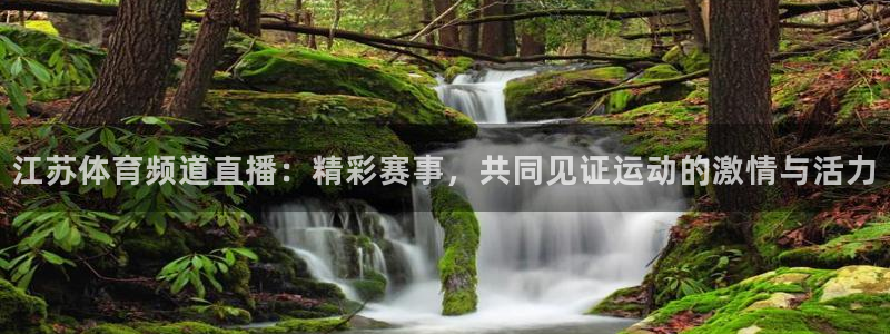 江苏体育频道直播：精彩赛事，共同见证运动的激情与活力